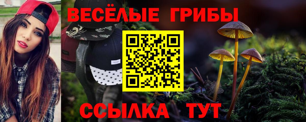 Галлюциногенные грибы ЛСД  Вход с VPN  Псилоцибиновые грибы GOLDEN TEACHER  Киселёвск 