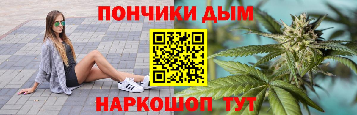 Конопля Bruce Banner  МАРИХУАНА семена  Вход с VPN  МАРИХУАНА марихуана  Киселёвск  Канабис гибрид 
